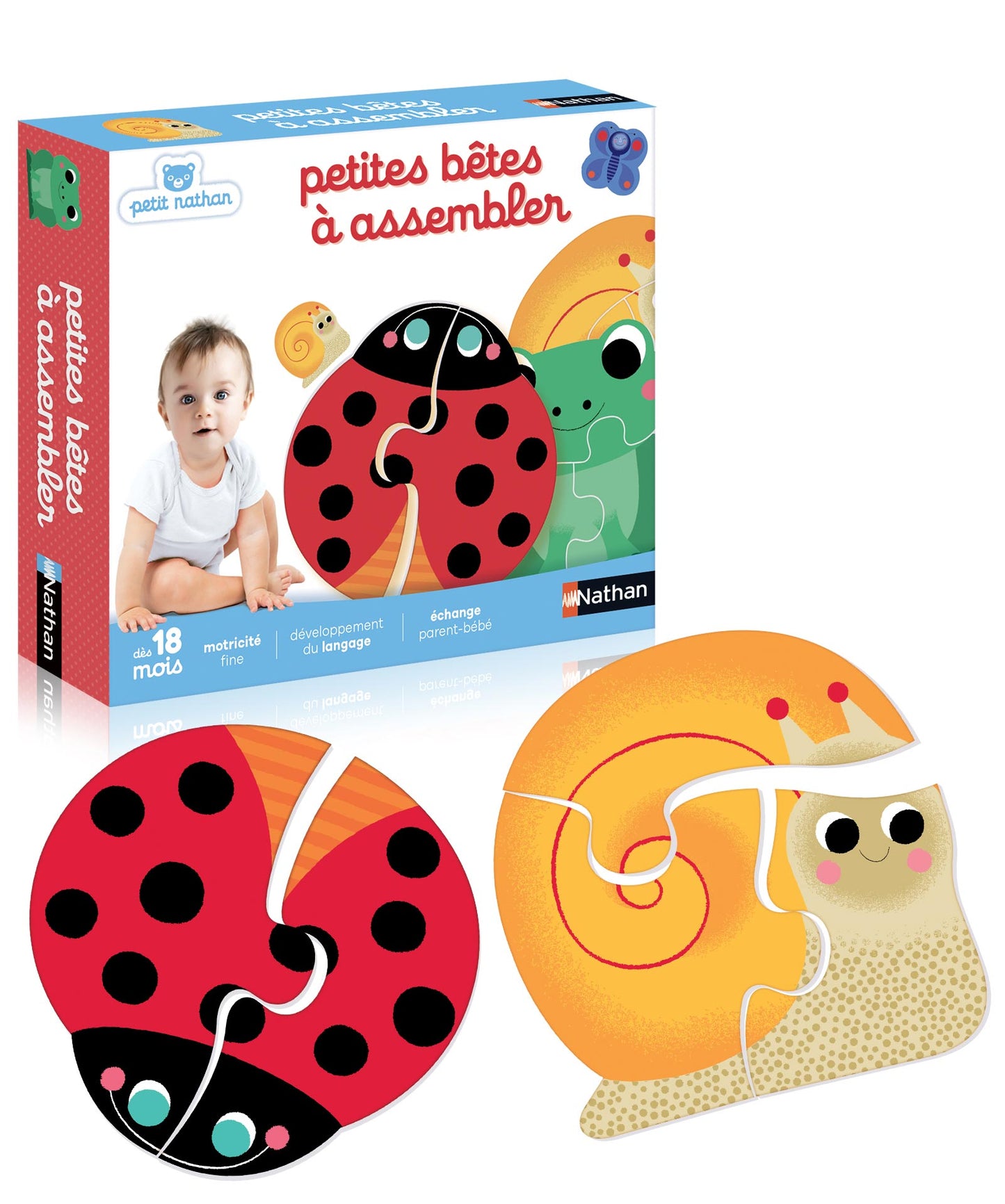 4 petites bêtes à assembler