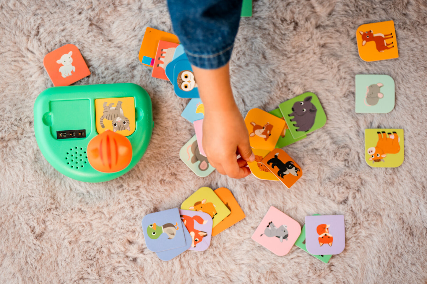 Mon p'tit quiz animaux